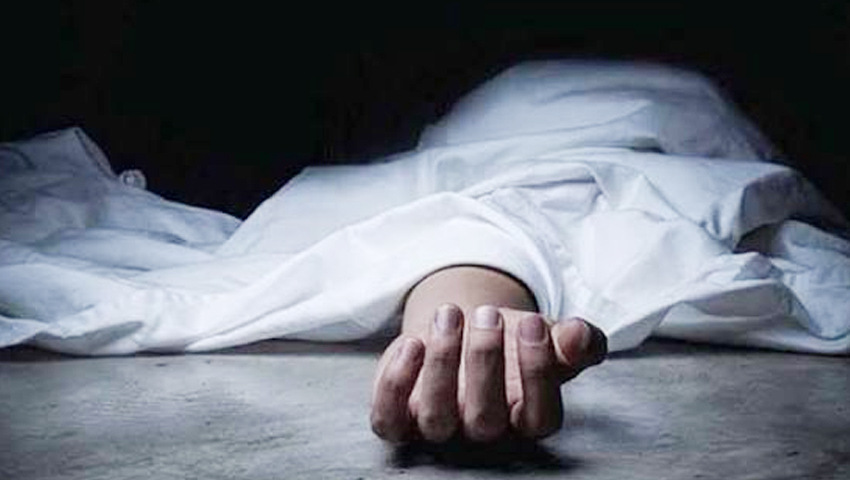 শৈলকুপায় ট্রাক চাপায় পথচারী নিহত