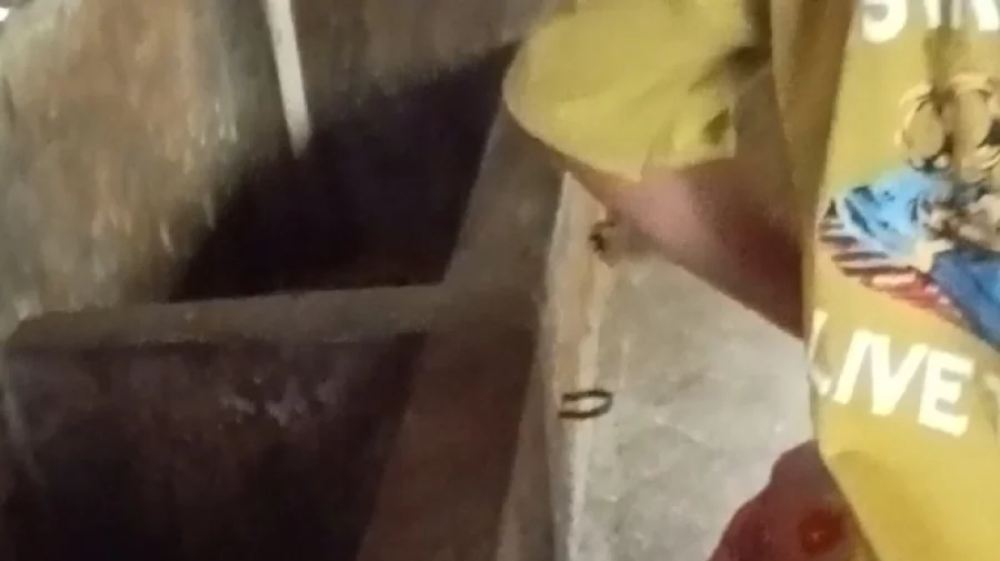 নান্দাইলে কৃষকের আটটি গরু চুরি