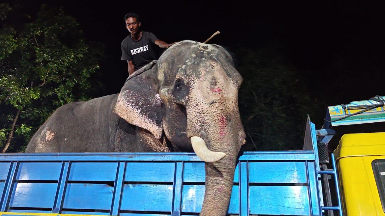 প্রধানমন্ত্রীর নির্দেশে উদ্ধার ‘বাদশা বাহাদুর’