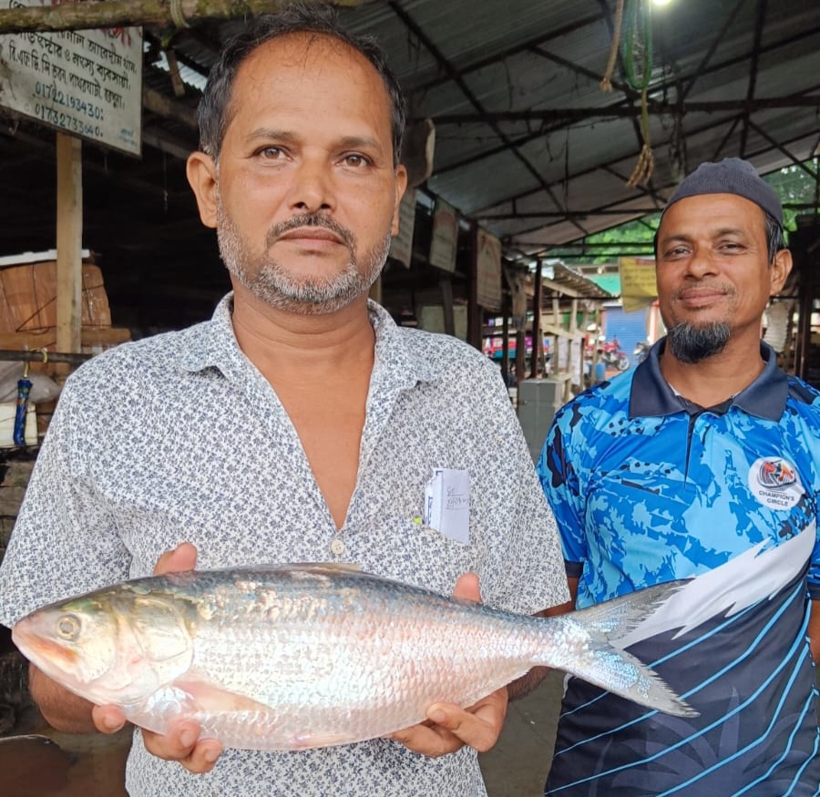 দেড় কেজির এক ইলিশ ৫ হাজারে বিক্রি!