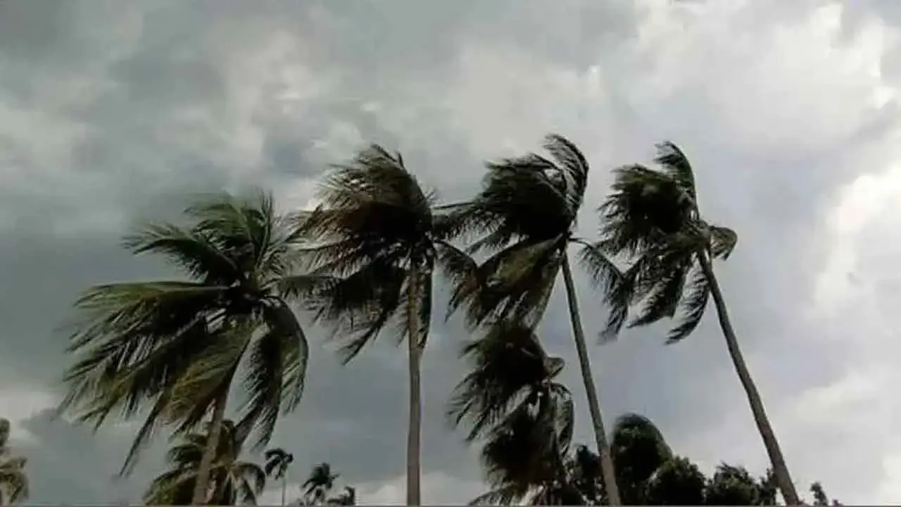 ঢাকায় বজ্রবৃষ্টির আভাস, বইতে পারে দমকা হাওয়া