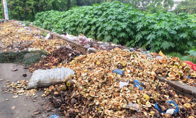 রাজবাড়ী খাদ্য গুদামের সামনে ময়লার ভাগাড়