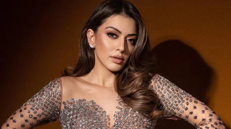 দীর্ঘদিন প্রেমের পর বিয়ে, পাঁচ বছরও টিকলো না অভিনেত্রীর সংসার