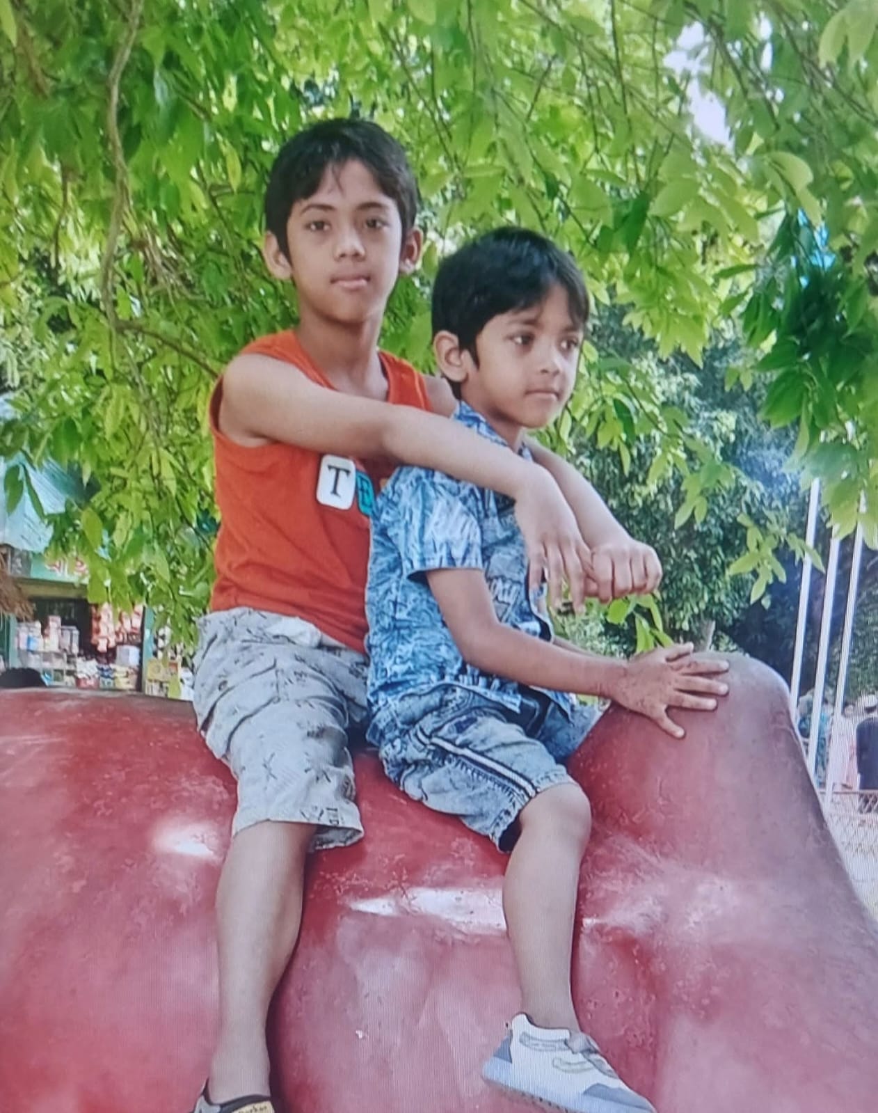 পুকুর থেকে বল তুলতে গিয়ে আপন দুই ভাইয়ের করুণ মৃত্যু