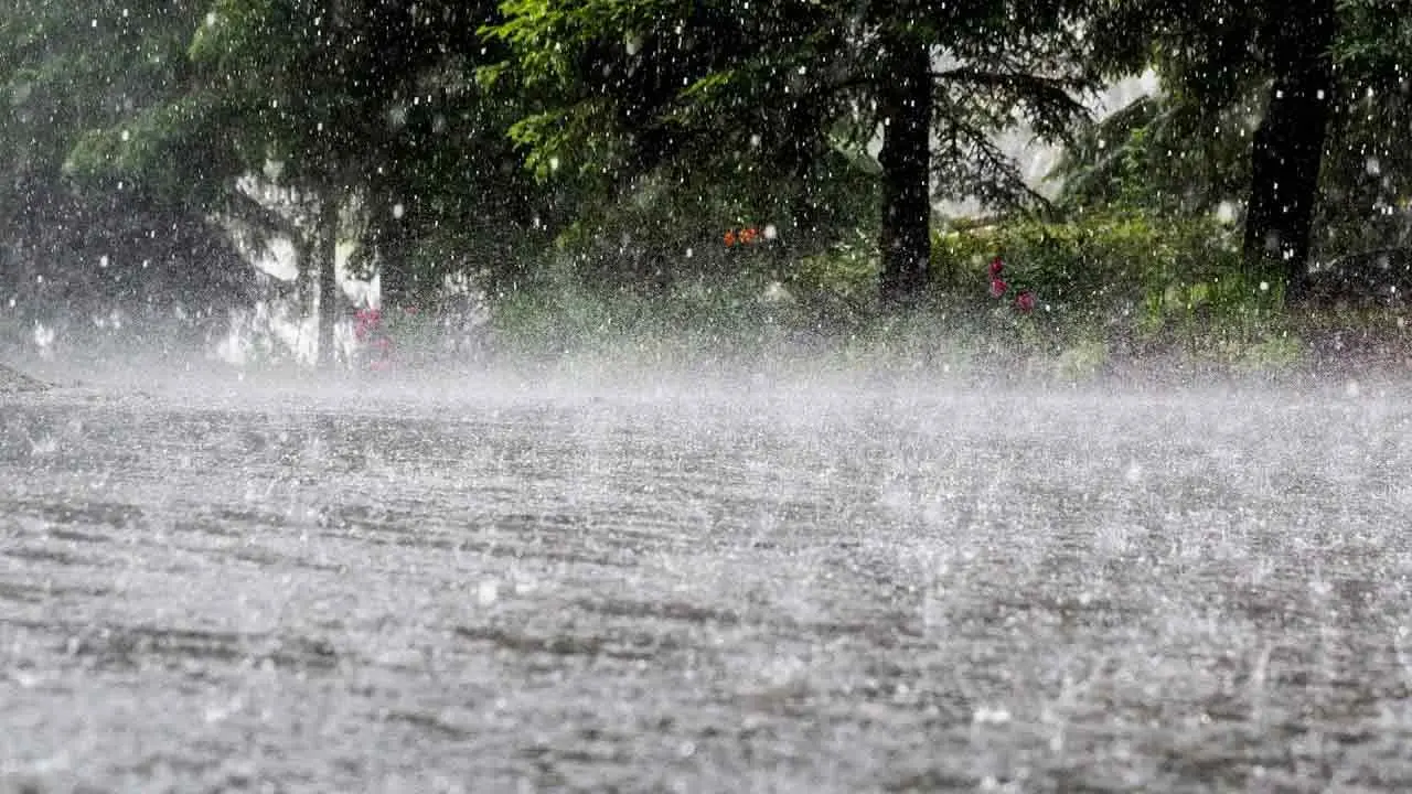 ছয় বিভাগে ভারী বৃষ্টির আভাস, পাঁচ জেলায় তাপপ্রবাহ