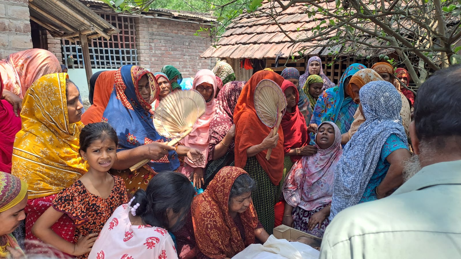 দামুড়হুদায় মৌমাছির কামড়ে এক ব্যক্তির মৃত্যু