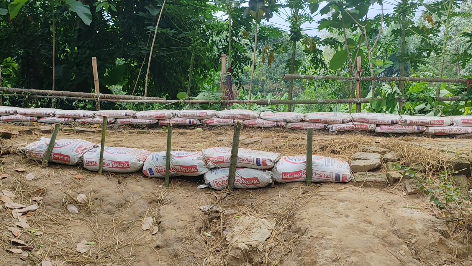 ফেনীর পরশুরামের কিসমত শালধরে ৫০০ পরিবারে ঘুম নেই, স্বেচ্ছাশ্রমে বাঁধ রক্ষার চেষ্টা