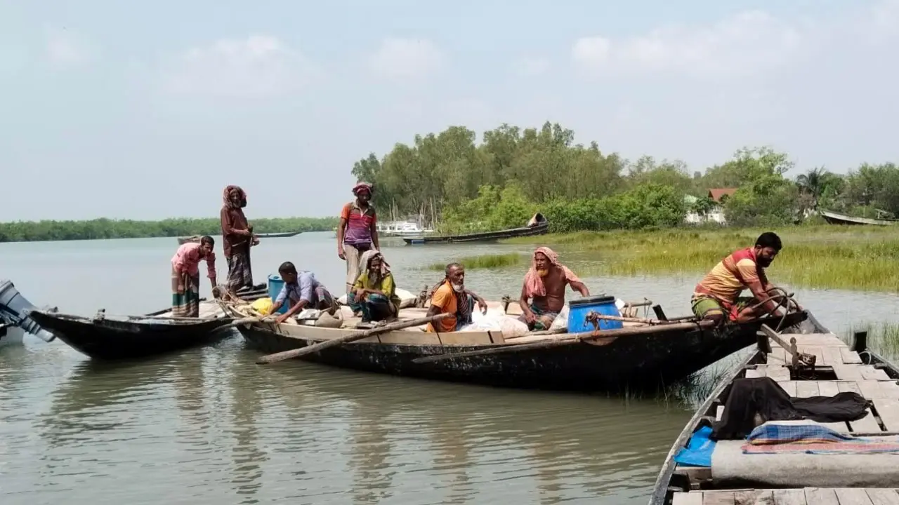 আজ থেকে সুন্দরবনে মধু আহরণ শুরু, বনদস্যু আতঙ্কে শঙ্কিত মৌয়ালরা