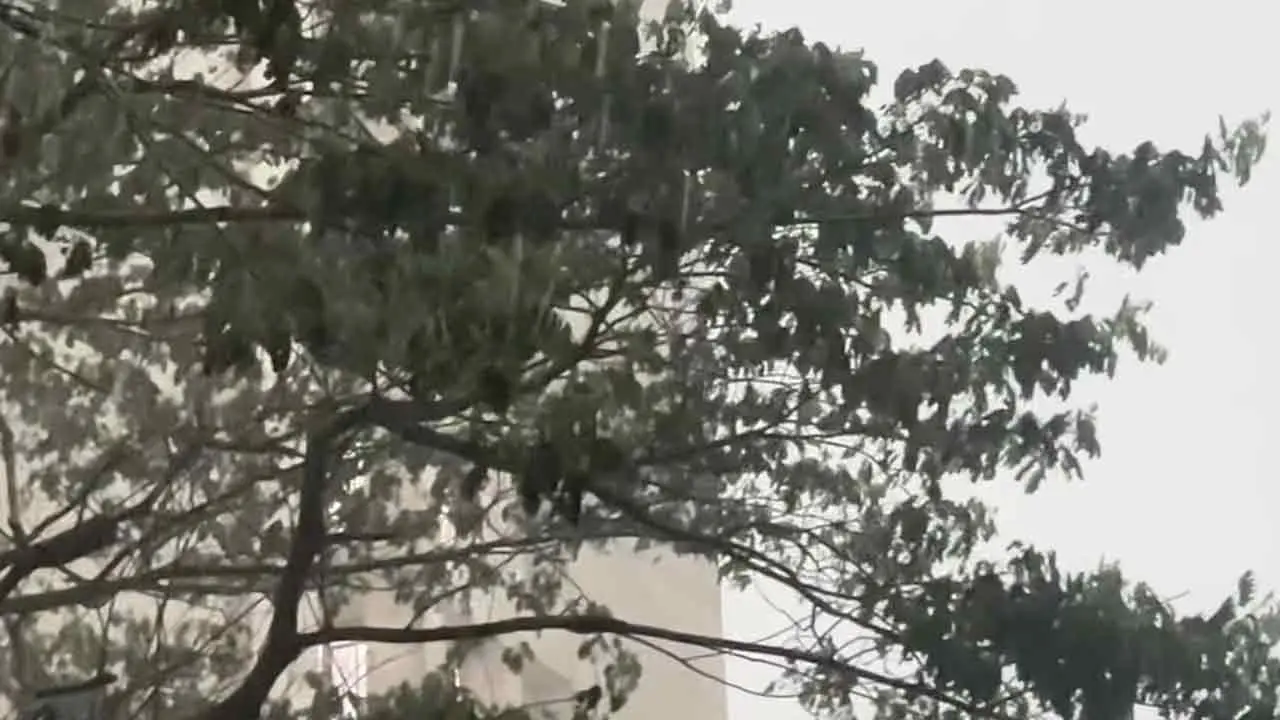 ঢাকায় ২৪ ঘণ্টায় ৪৩ মিলিমিটার বৃষ্টিপাত, কমবে গরম