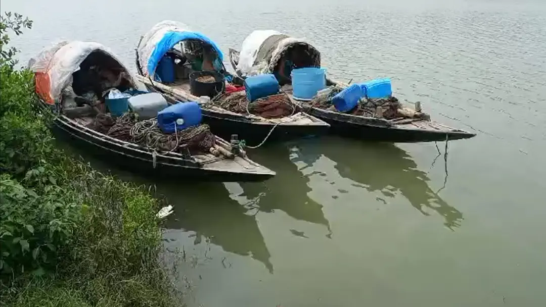পূর্ব সুন্দরবনে বনদস্যুদের হাতে আরও ১৫ জেলে অপহরণ