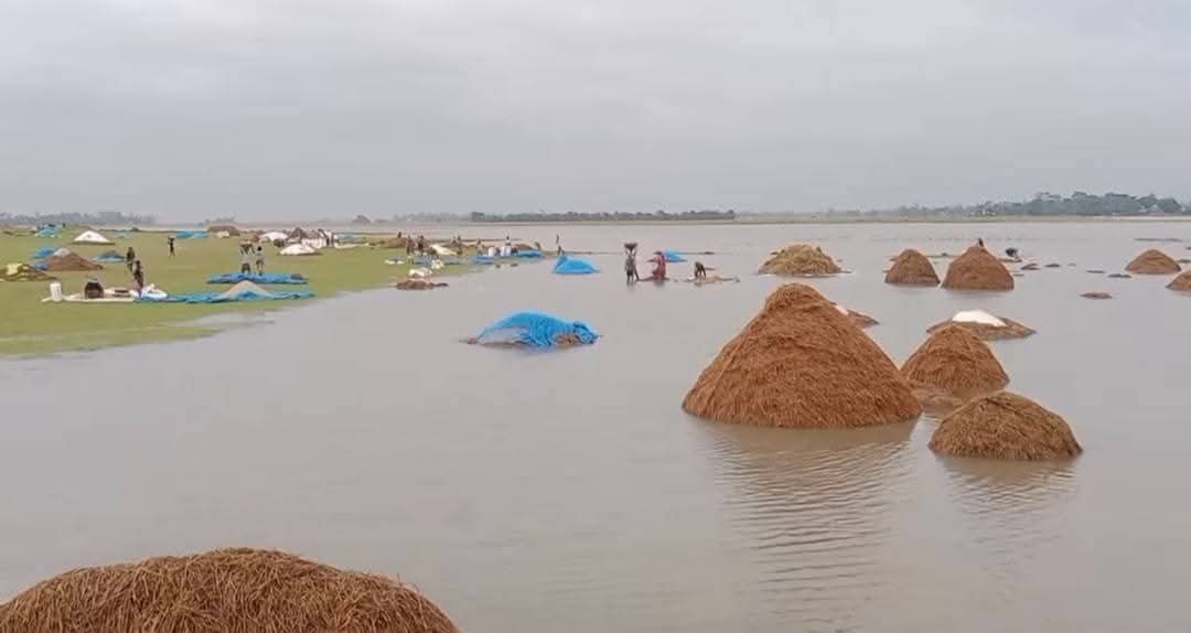 টানা বৃষ্টি,পাহাড়ি ঢলে ডুবছে কৃষকের স্বপ্ন