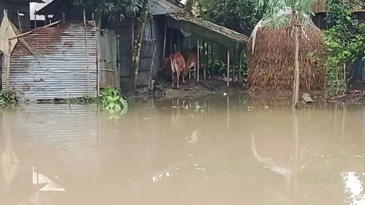 কুড়িগ্রামে পানিবন্দি ১০ হাজার মানুষ, এখনও বিপৎসীমার উপরে দুধকুমার