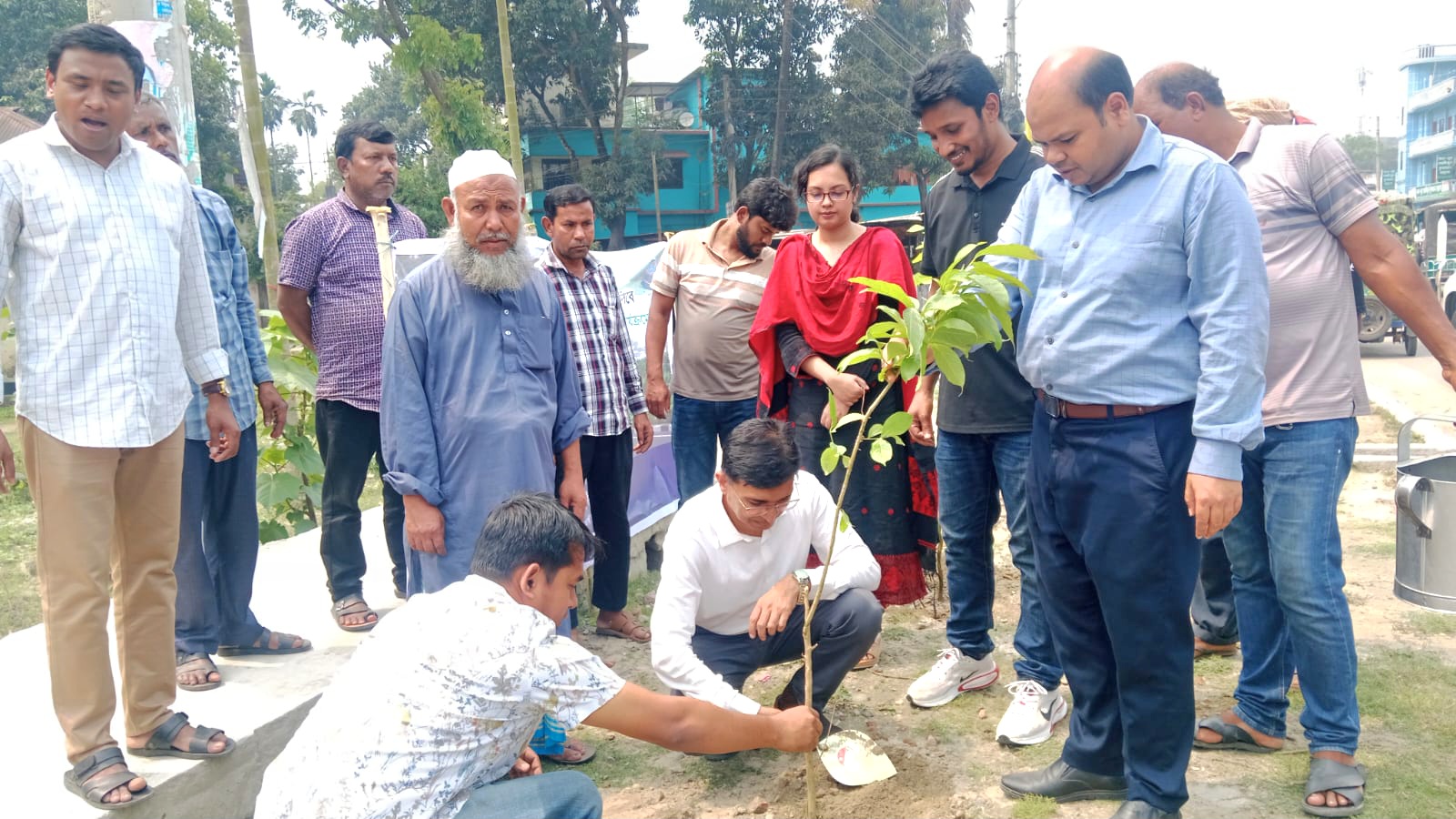 নির্বাচনী অঙ্গীকার বাস্তবায়নে নীলফামারীতে বৃক্ষরোপণ কর্মসুচি শুরু