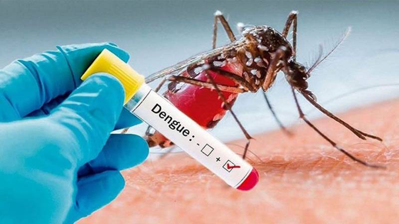 ডেঙ্গুতে আরও ৩ মৃত্যু, হাসপাতালে ভর্তি ১ হাজার ৪৩২