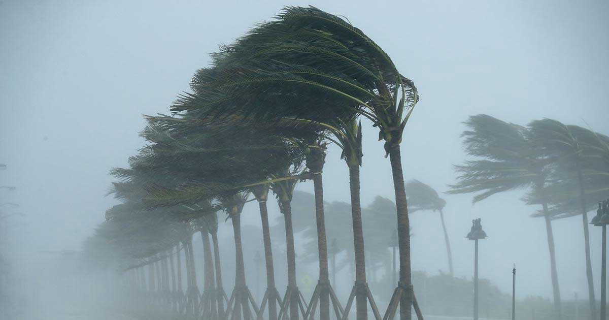 চার জেলায় ৮০ কিলোমিটার বেগে ঝড়ের শঙ্কা