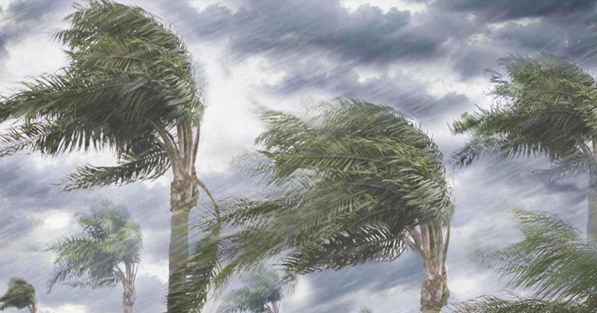 সকালের মধ্যে যেসব জেলায় আঘাত হানবে প্রচণ্ড ঝড়, সতর্কতা জারি