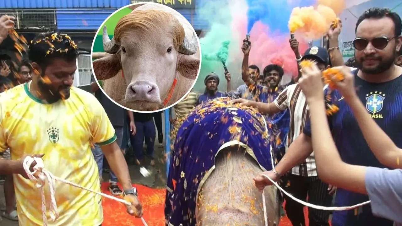 নারায়ণগঞ্জে ভাইরাল ‘ডোনাল্ড ট্রাম্প’কে লাল গালিচায় বিদায়