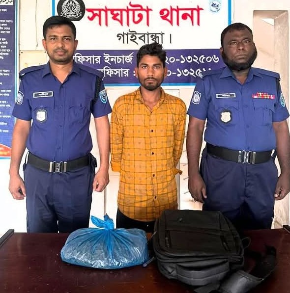 গাইবান্ধায় গাঁজাসহ মাদক কারবারি গ্রেফতার