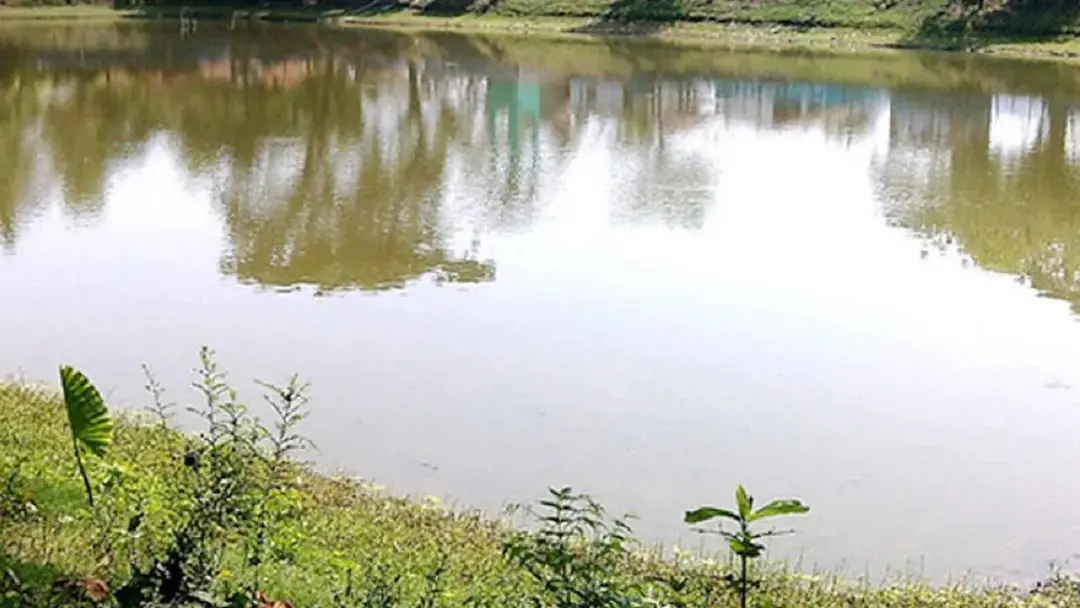 যশোরে খেলতে গিয়ে পুকুরে ডুবে ২ শিশুর মৃত্যু