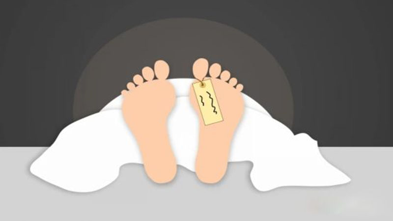 ঝিনাইদহ সাপের কামড়ে প্রাণ গেল যুবকের