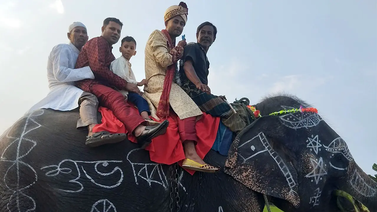 মায়ের শখ পূরণে হাতির পিঠে বর