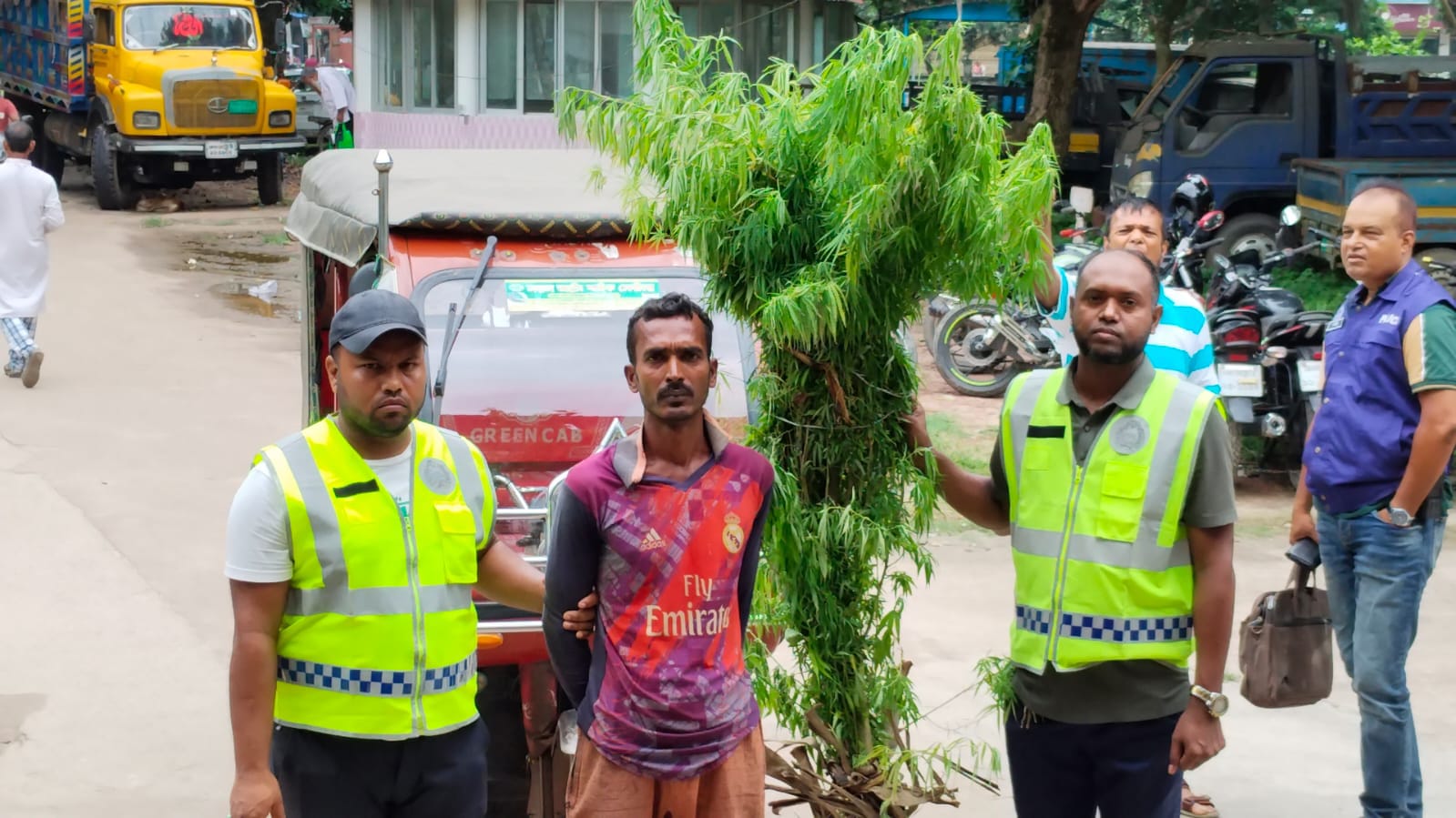 বেগুন ক্ষেতে গাঁজার চাষ, ঝিনাইদহে ৭টি গাছ উদ্ধার; যুবক আটক