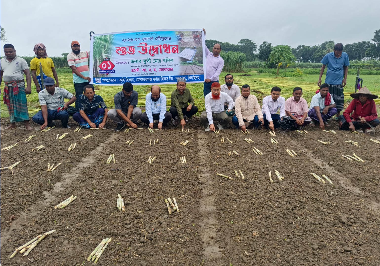 আখের মূল্য বৃদ্ধি, বাড়ছে আখচাষ