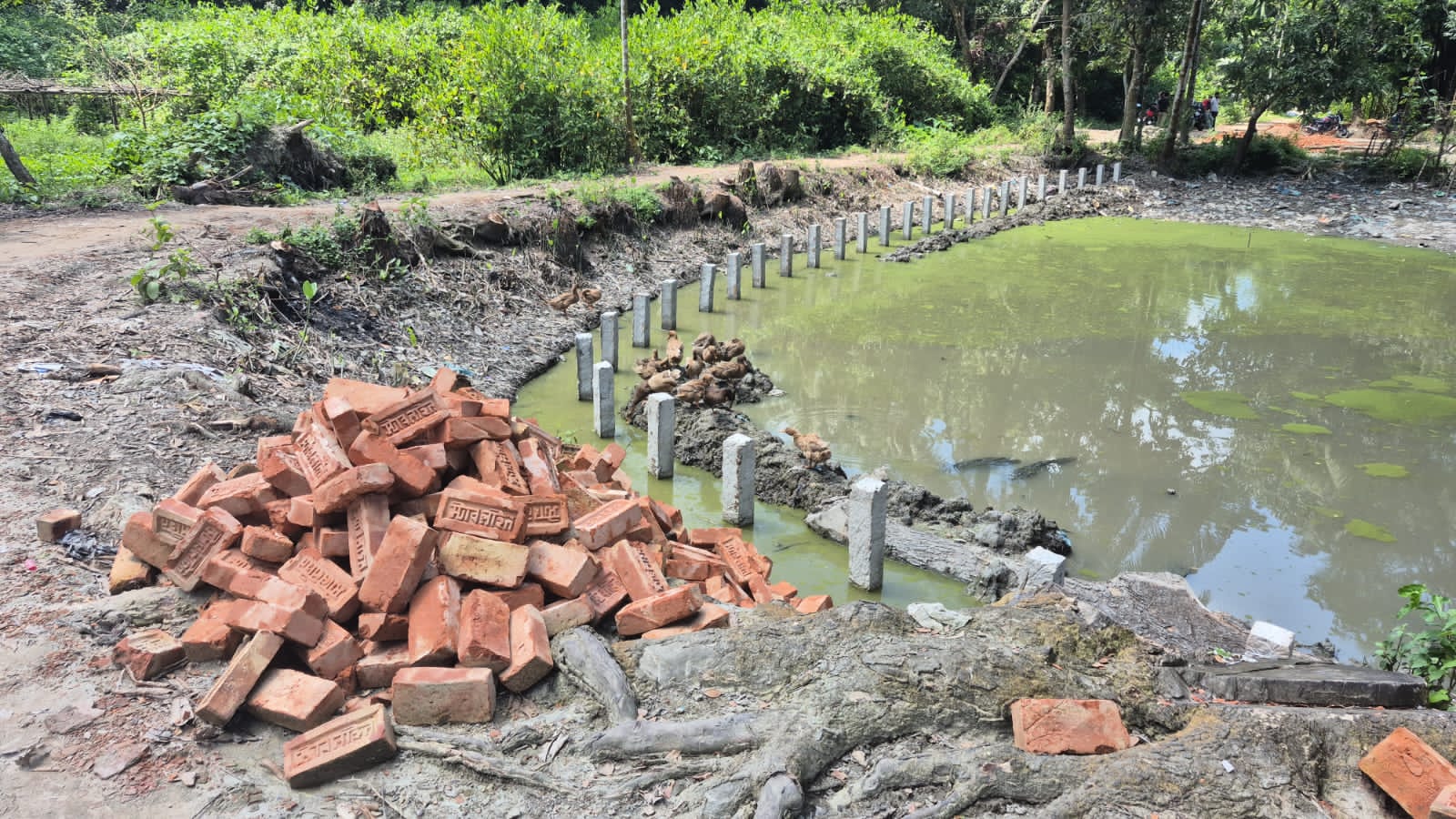 ফেনীতে সড়ক উন্নয়ন কাজে চাঁদা দাবির সত্যতা পায়নি বিএনপির তদন্ত কমিটি