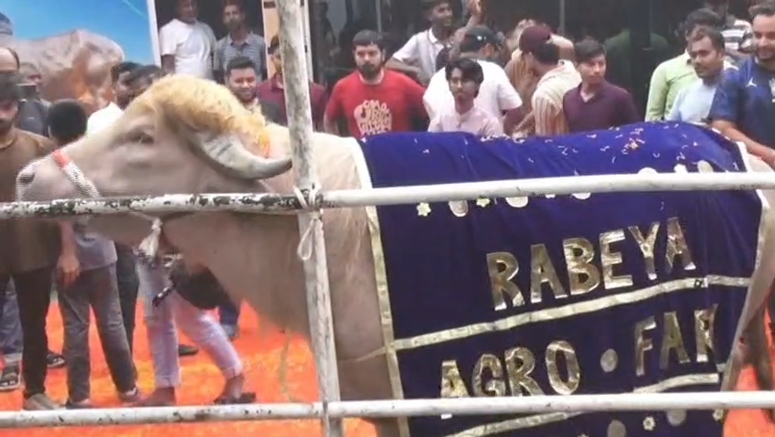 ডোনাল্ড ট্রাম্প অবশেষে কতো টাকায় বিক্রি হলো