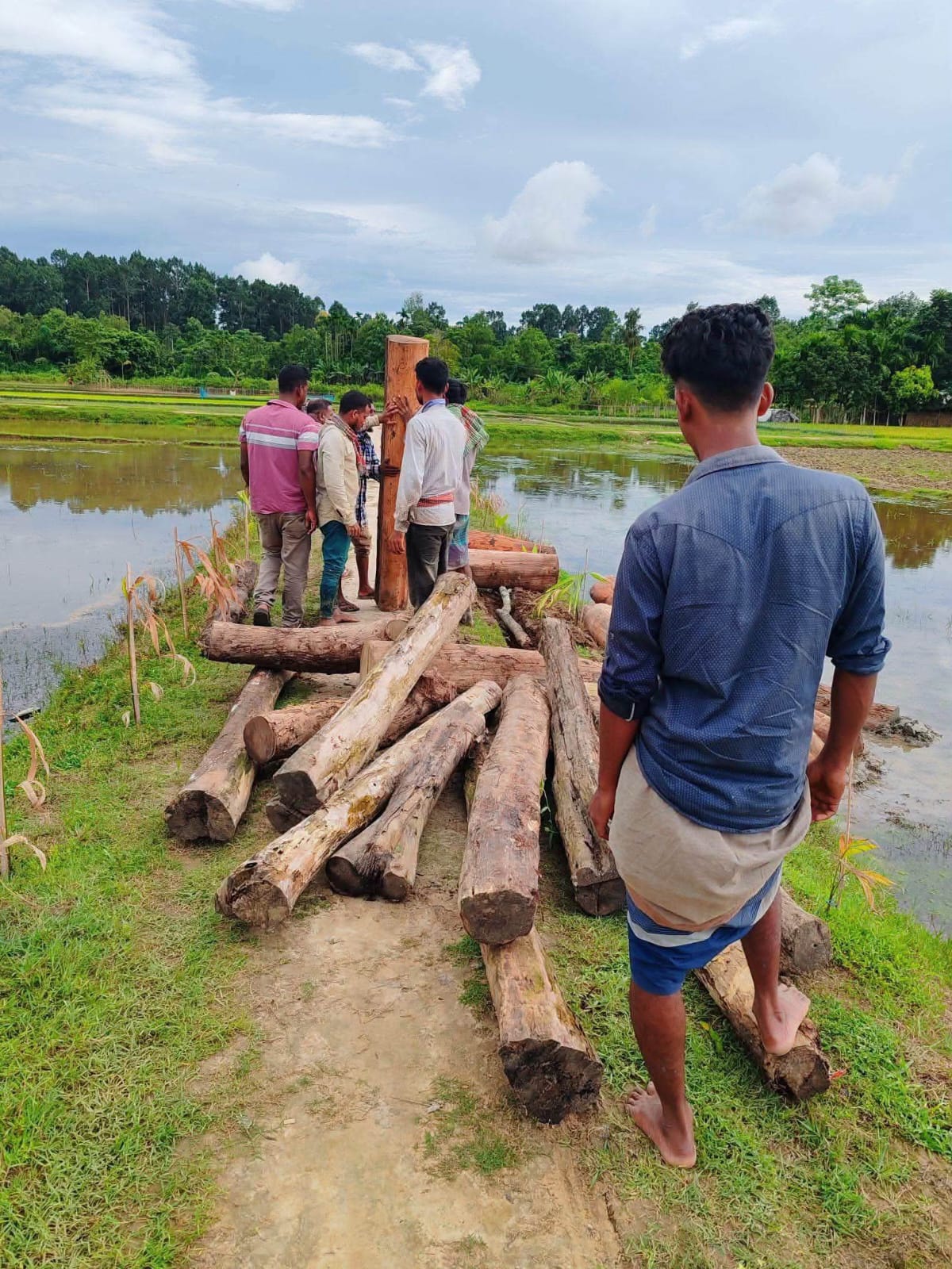 কমলগঞ্জে সেগুন কাঠবোঝাই ট্রাক আটক, প্রায় ২৭ ঘনফুট কাঠ জব্দ