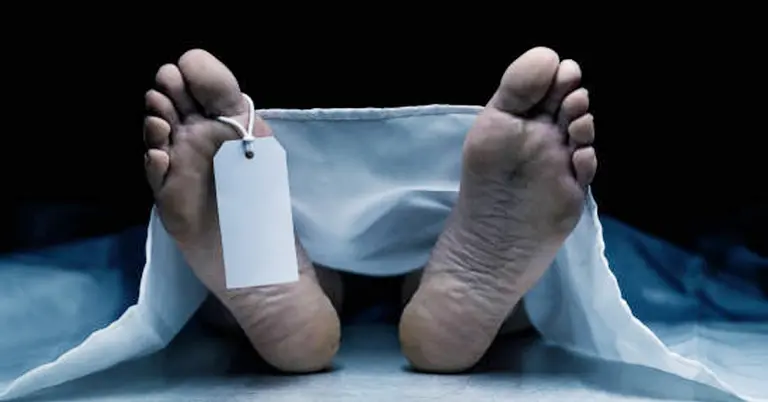 মানিকগঞ্জে বাসের ধাক্কায় নিহত ১