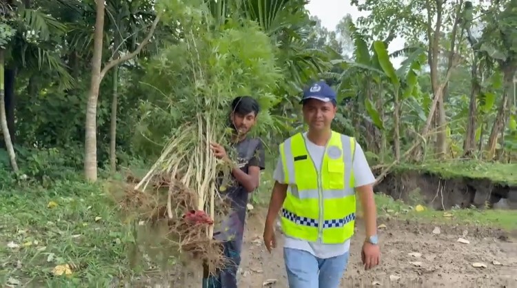 কুড়িগ্রামে গ্রীনহাউজ পদ্ধতিতে গাঁজা চাষ,পুলিশের অভিযানে প্রায় অর্ধশতাধিক গাঁজা গাছ উদ্ধার
