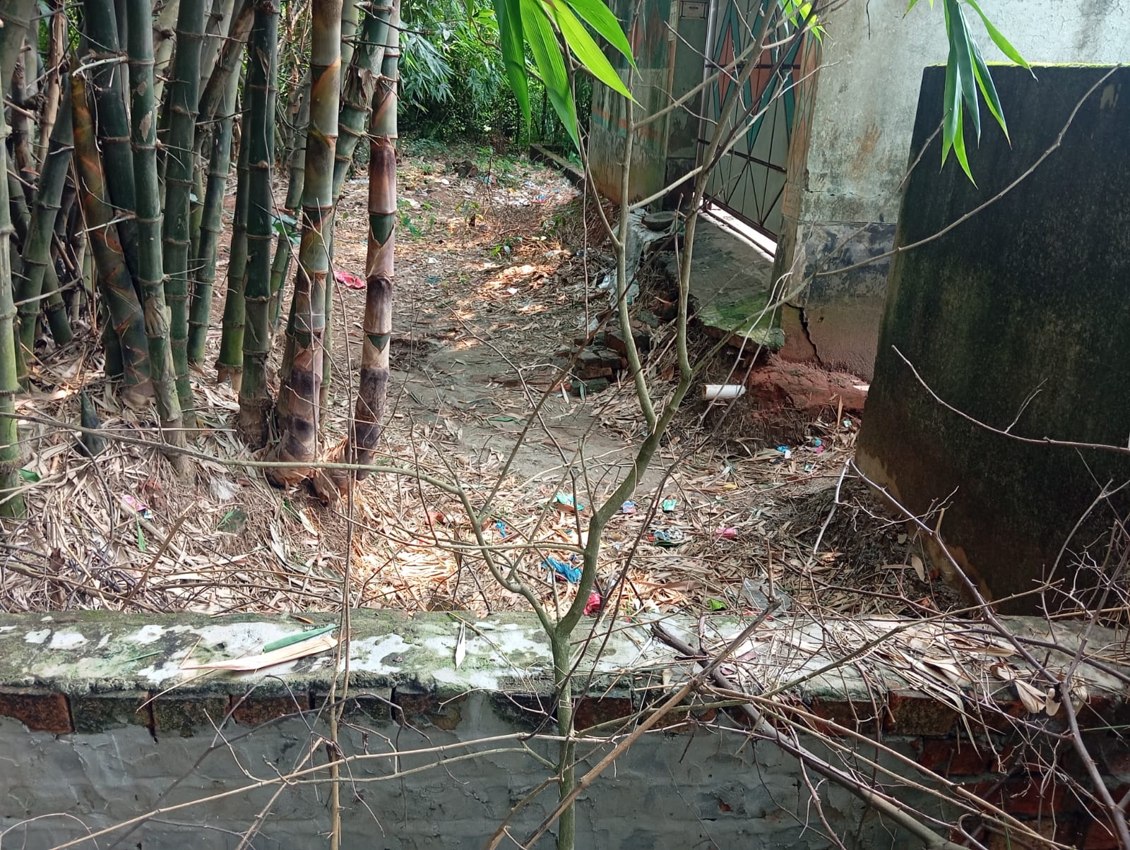সাভারে ইটের দেয়াল তুলে চলাচলের রাস্তা বন্ধের অভিযোগ, ভোগান্তিতে এলাকাবাসী