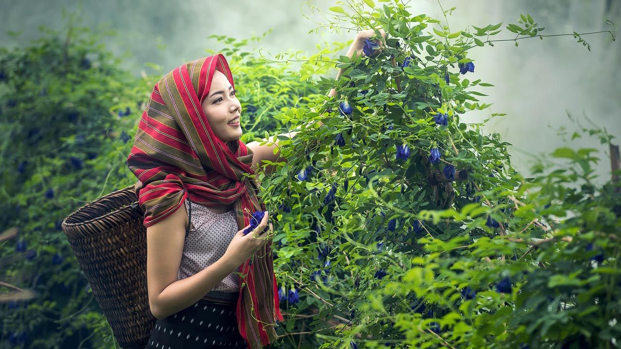 মানসিক চাপ? দূর করার সহজ একটি উপায় জেনে নিন