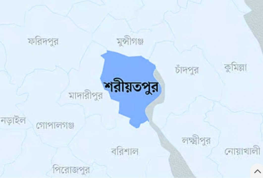 সাংবাদিক পেটানোর অভিযোগের পর পাল্টা চাঁদাবাজির অভিযোগ বিএনপি নেতার